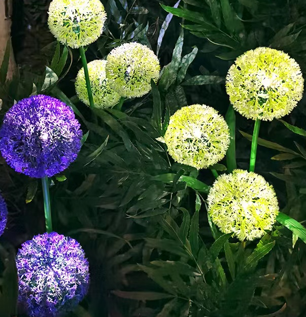 Lampi solare decorative de gradina tip floare Amaryllis alb-galben