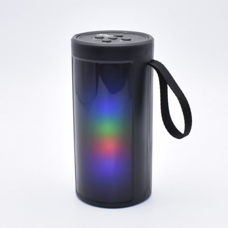 BOXA PORTABILA ZQS 1202 BT, FM, BLUETHOOT SD, USB ENGROSS