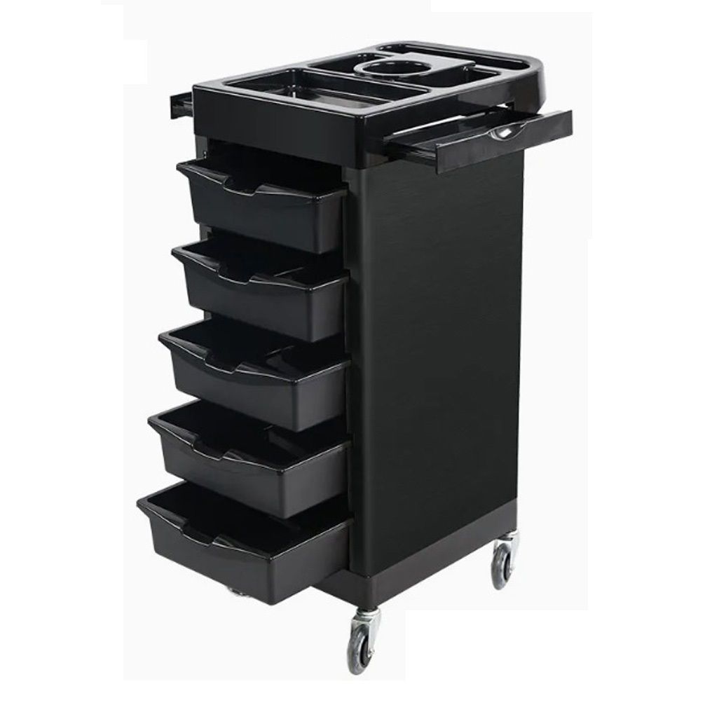 Ucenic profesional Sela, salon, coafor, frizerie, 5 sertare x103-1 engross