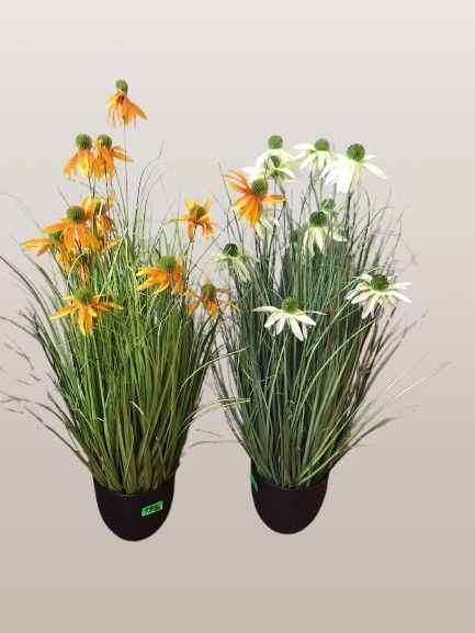 Ghiveci planta de echinaceea 90cm en gros