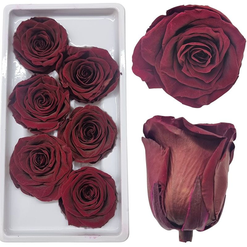 Trandafiri Criogenati engros 6/buc set 6.5 cm