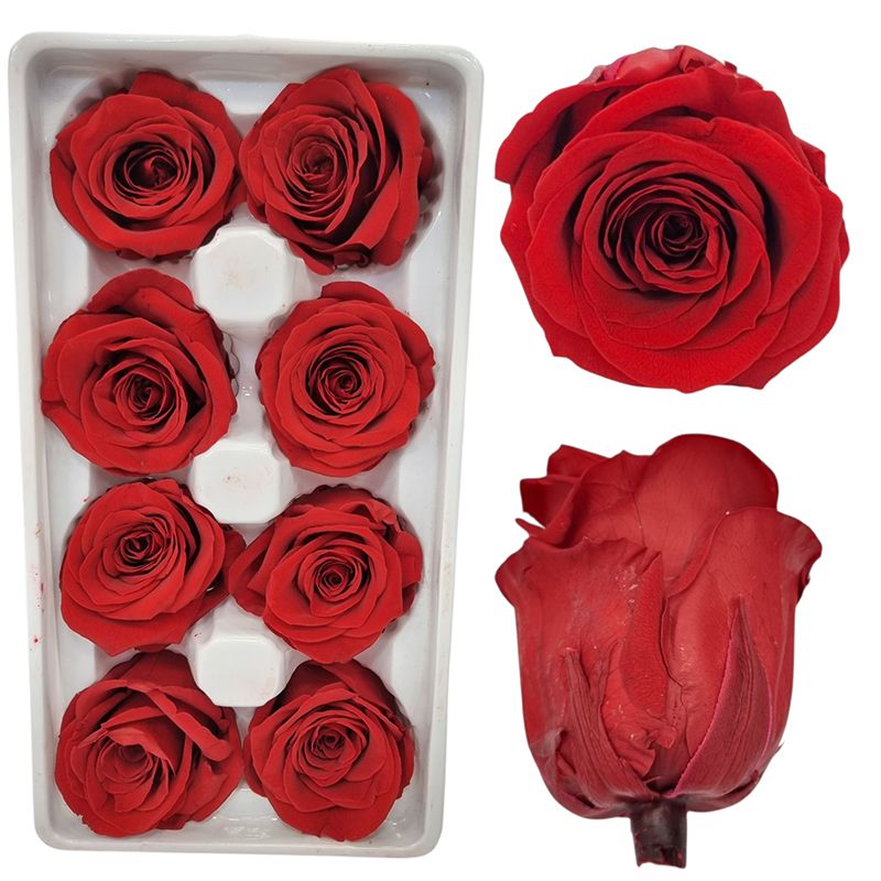Trandafiri Criogenati engros 8/buc set 5 cm diametru,6,5 cm lungime cu codita