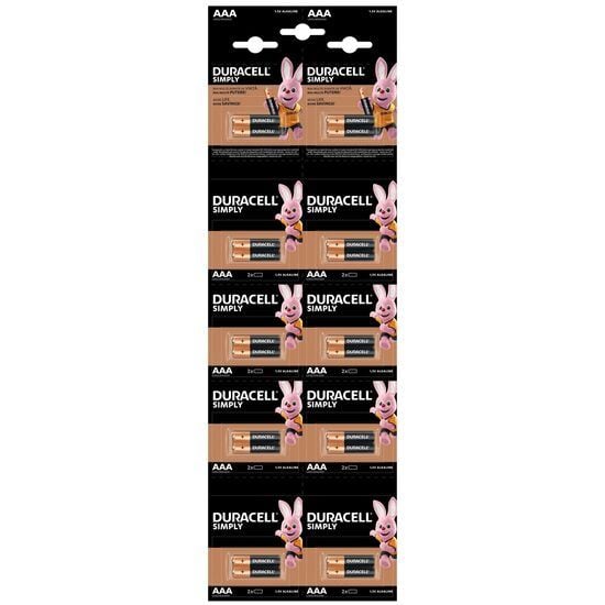 Baterii alcaline Duracell Basic R3 HBDC 2x10buc, 2*10 bucati Engros