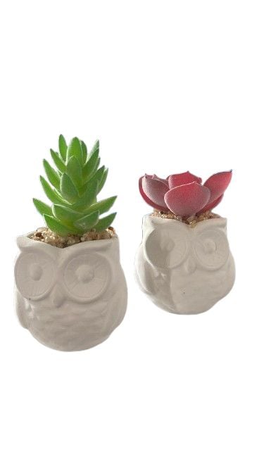 Ghiveci cu planta suculenta artificiala engros