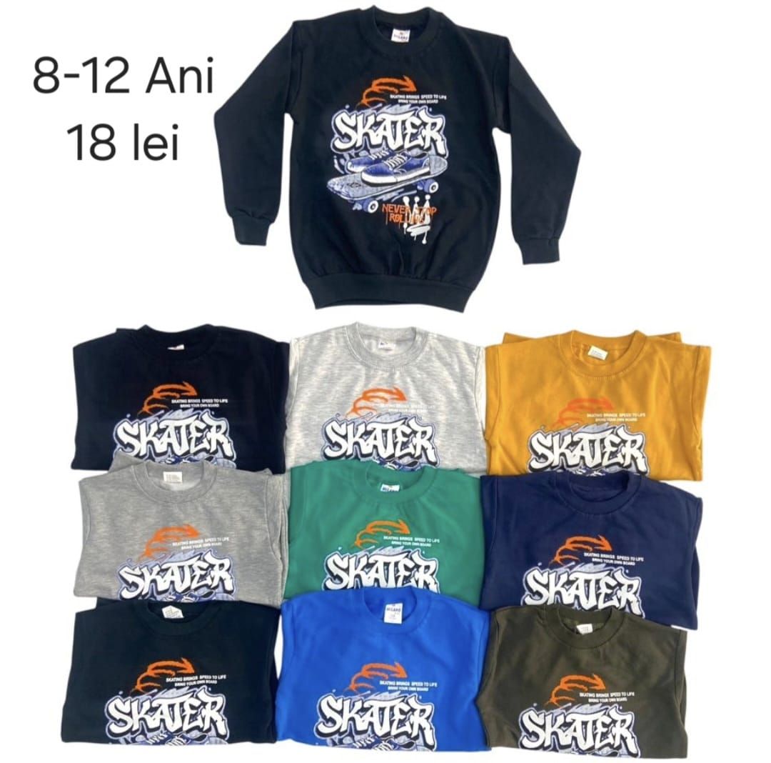 Bluza Engros pentru baieti, cu model imprimat