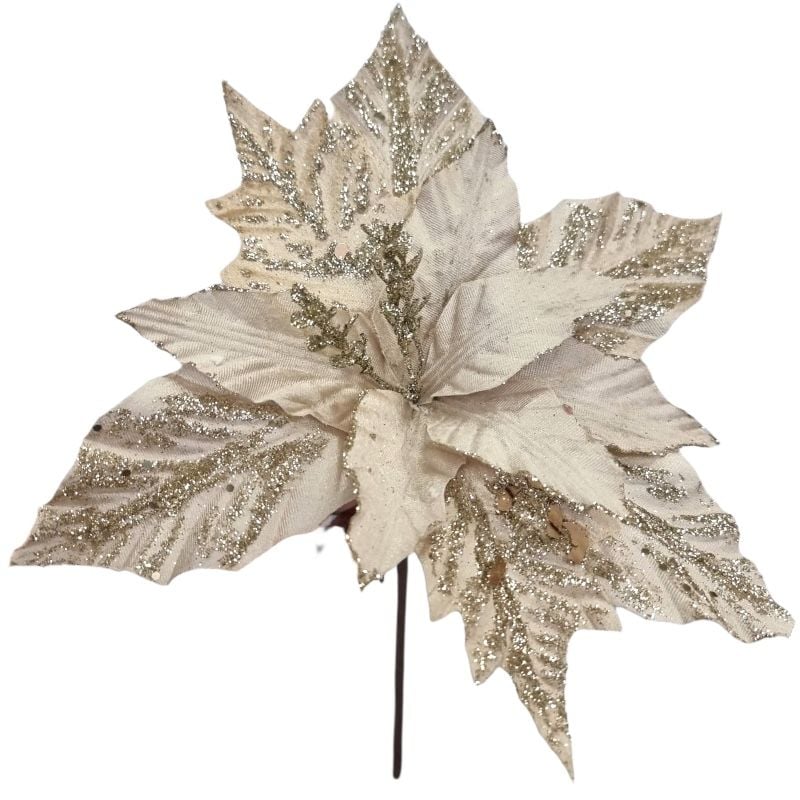Craciunita catifea cu 12 petale, ivorie, d 30 cm, h 36 cm,en-gros