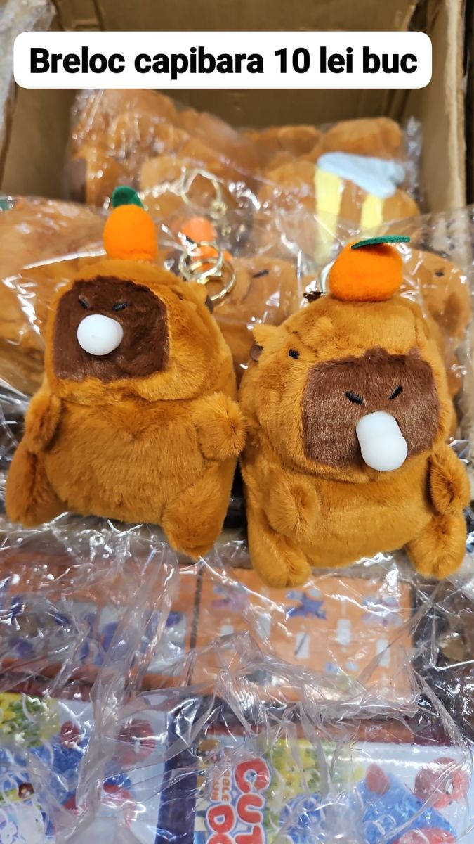Breloc Engros, Capibara