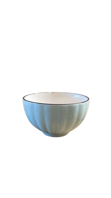 Bol ceramic 5 nth3 engros
