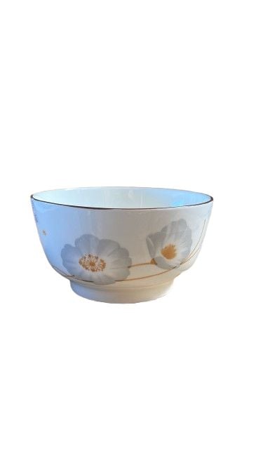 Bol ceramic 6 nth6 engros