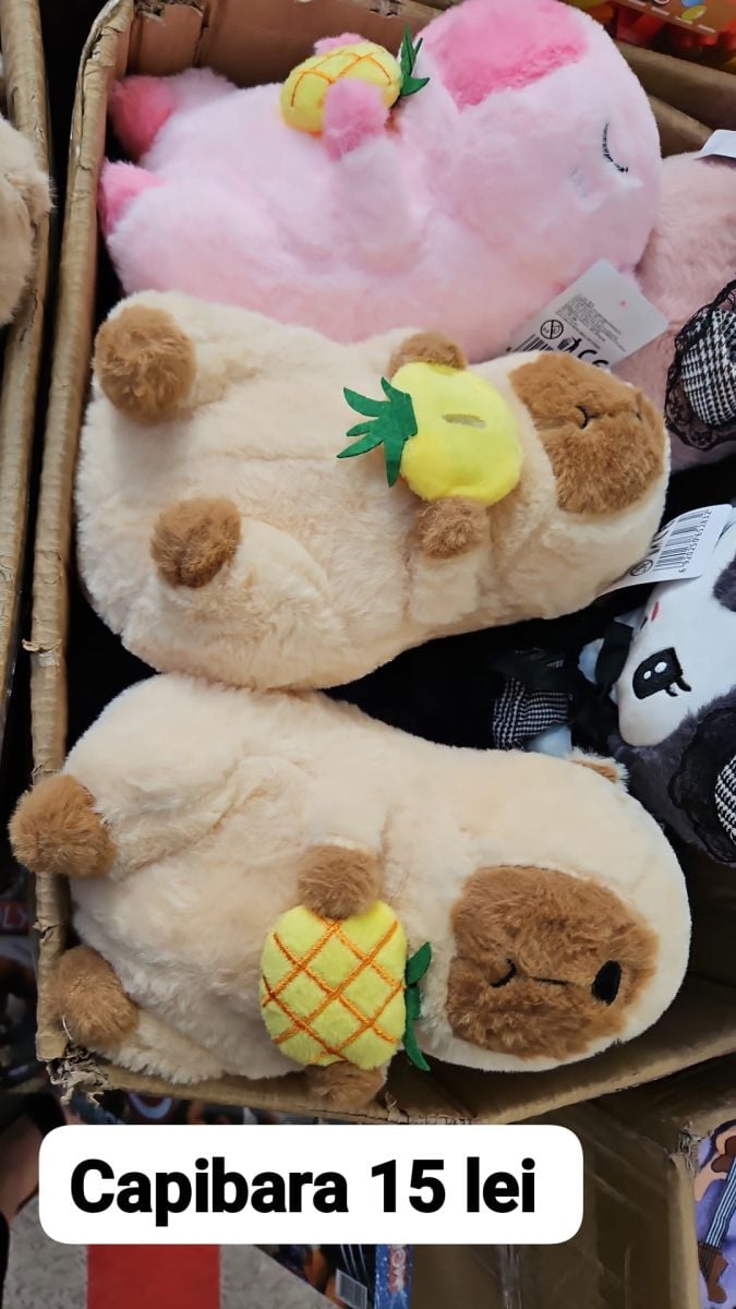 Jucarie de plus Engros, Capibara, diverse culori