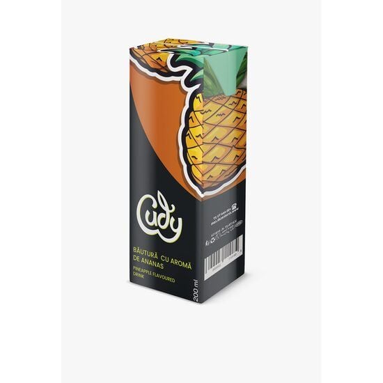 Suc cu pai Cudy - aroma de ananas, 200 ml Engros