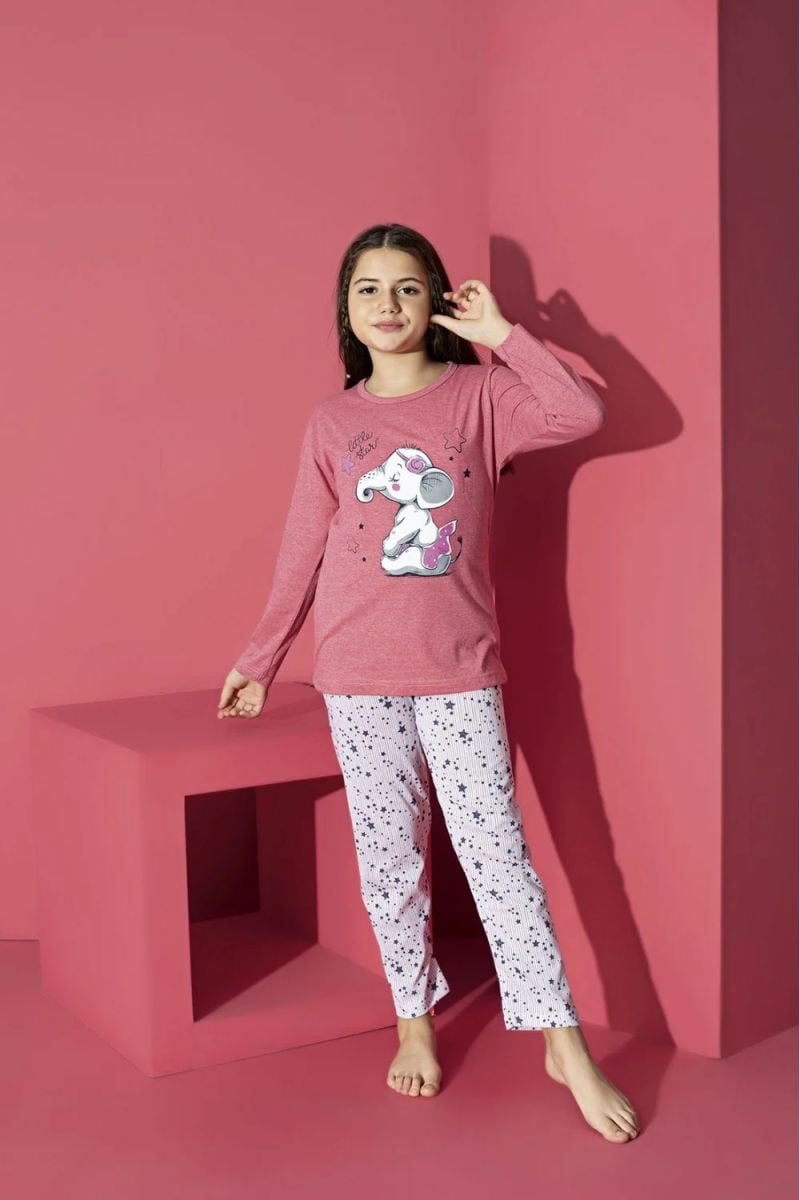 Pijama Fete, Mânecă Lungă, Imprimeu Elefant, Roz Deschis,Engros
