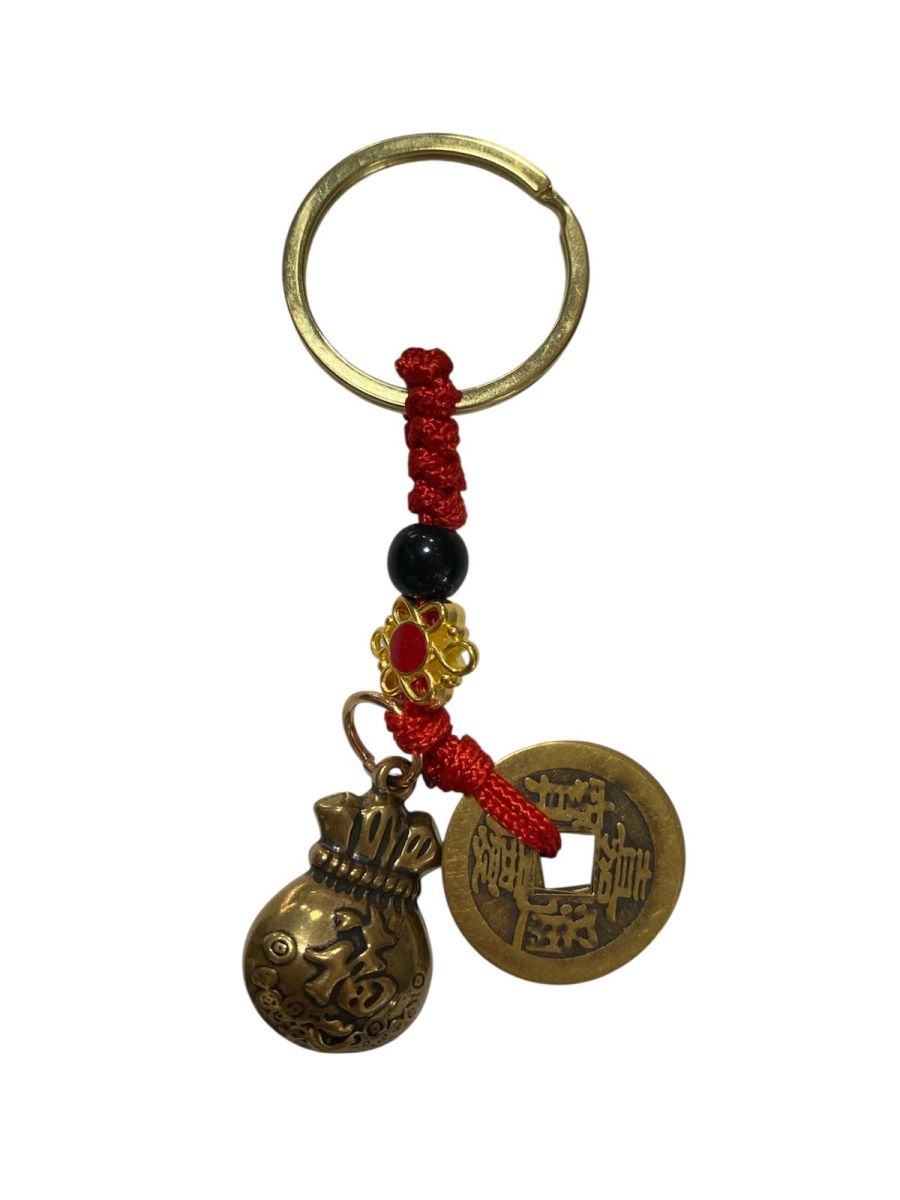 Amuleta Feng Shui cu Sacul bogatiei si monede