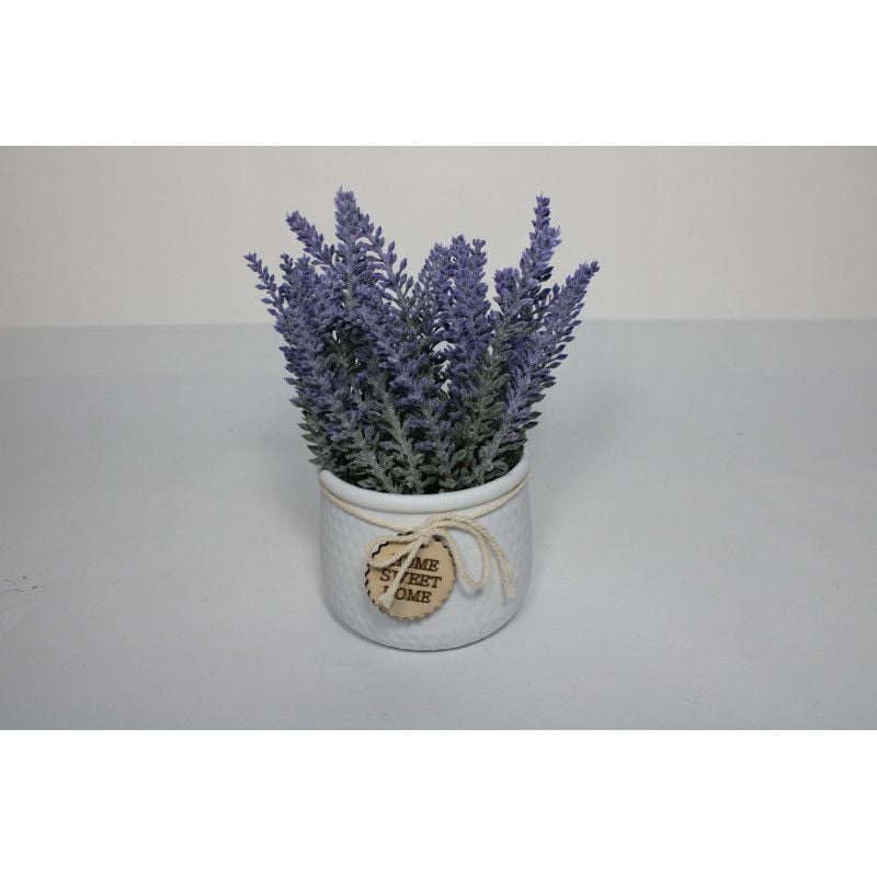 Ghiveci Engros de plastic cu flori lavanda PO72 , 23cm