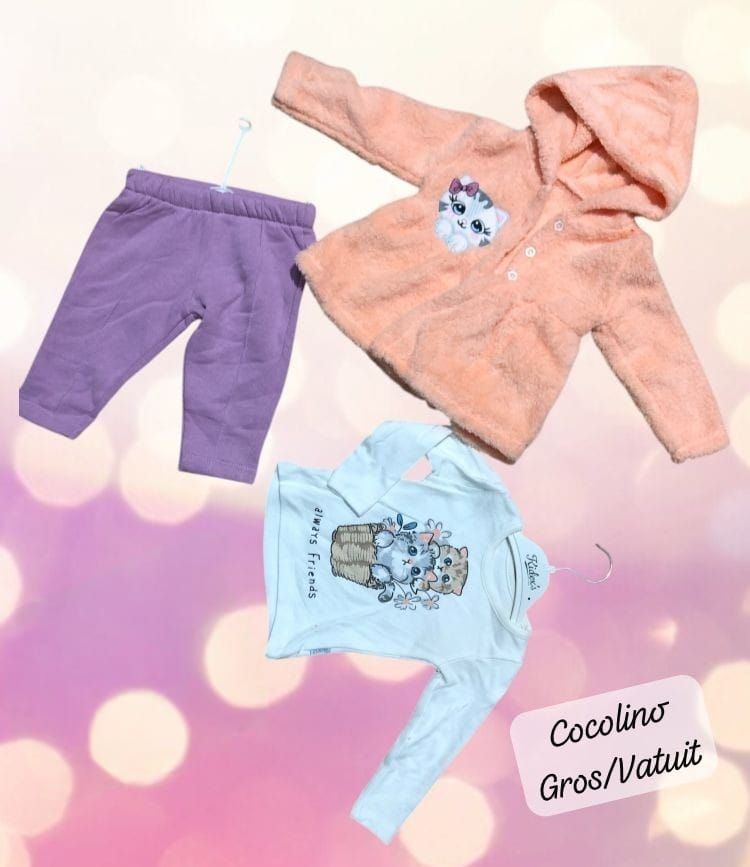 COMPLEU fete din bumbac gros, 3 piese, cu hanorac cocolino, vatuit 9-24 luni, 4/set engros