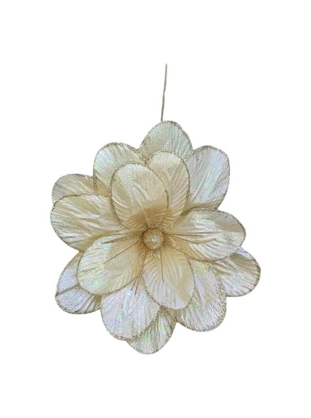 Ornament de Craciun Engros, Craciunita