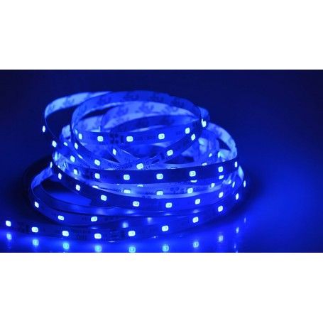 Banda Led 5m 300 Led-uri 24W-12V Albastru Engros