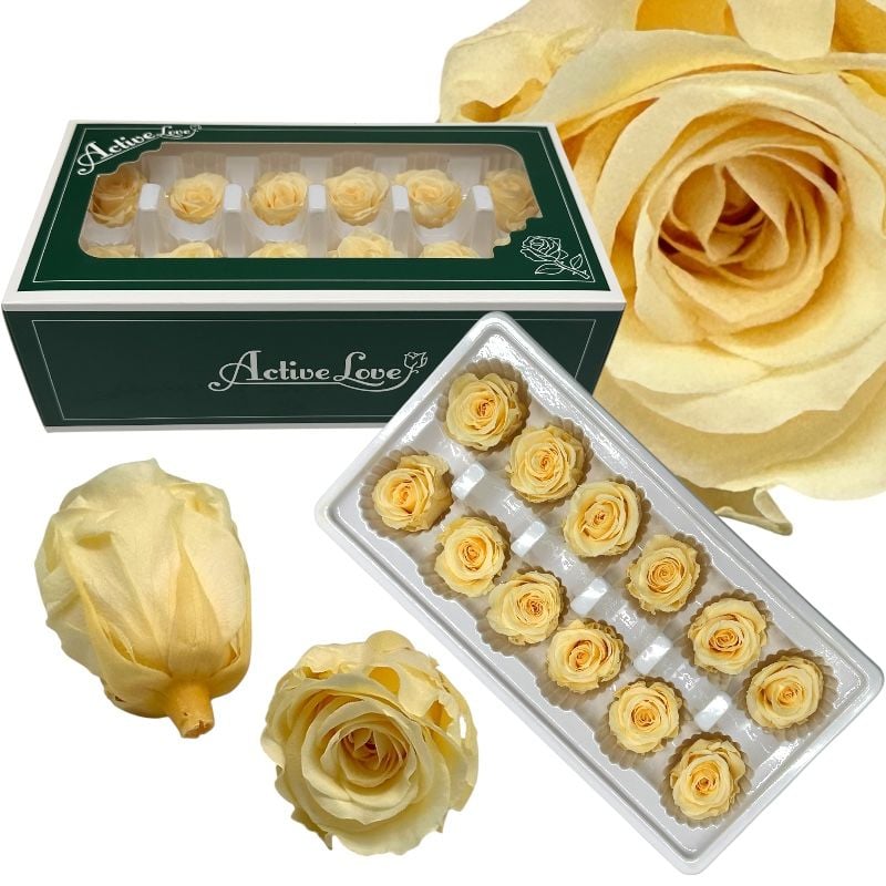 Trandafiri criogenați 12 bucăți d4-4 cm, h 5.5 cm, culoare crem, en-gros