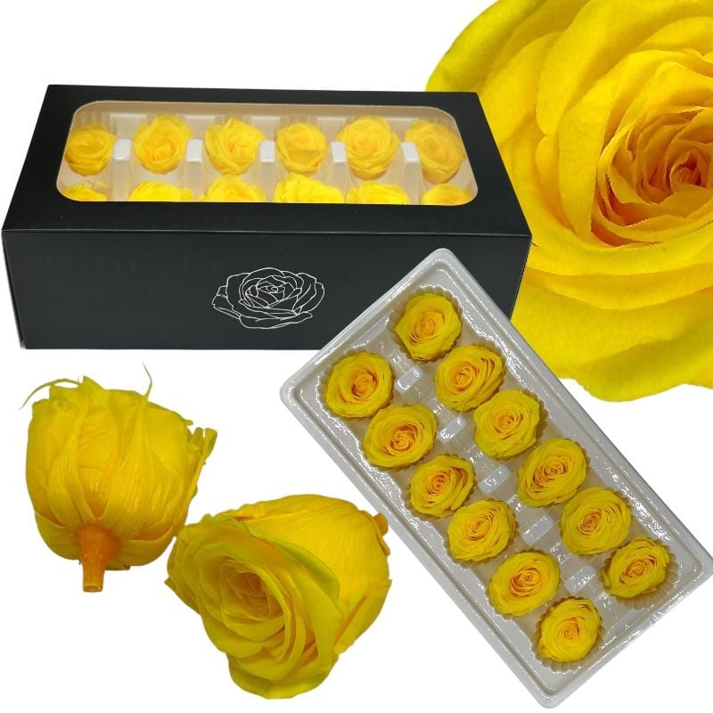Trandafiri criogenați 12 bucăți d4-4 cm, h 5.5 cm, culoare galben, en-gros