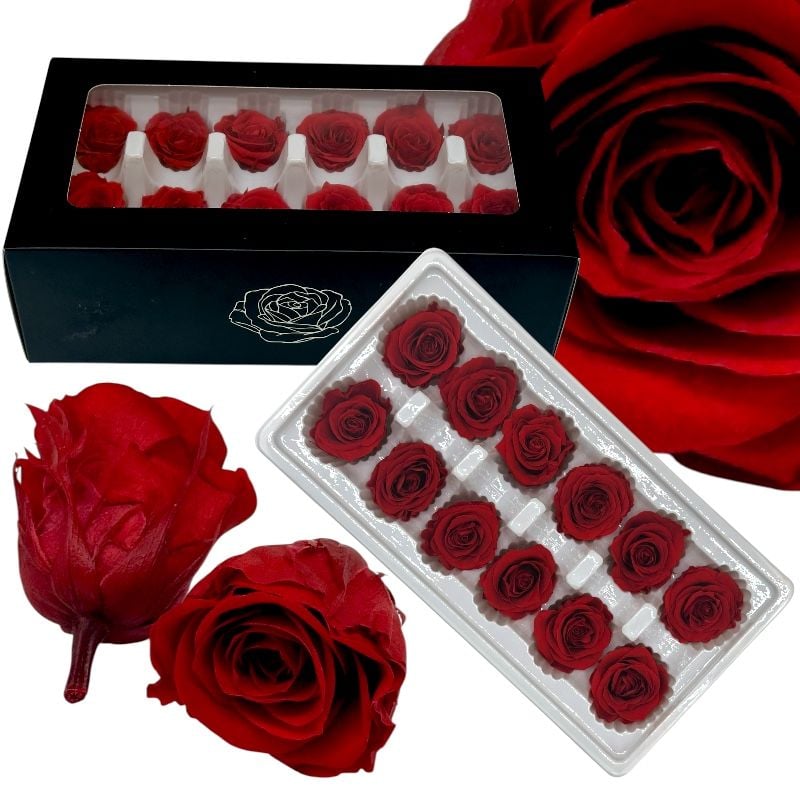Trandafiri criogenați 12 bucăți d4-4 cm, h 5.5 cm, culoare rosu, en-gros