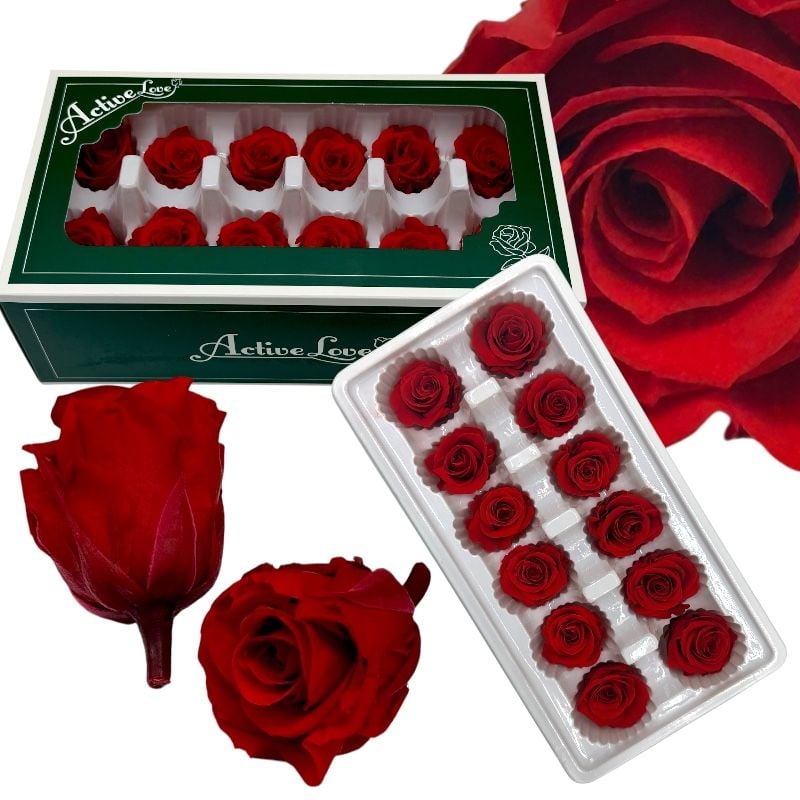Trandafiri criogenați 12 bucăți d4-4 cm, h 5.5 cm, culoare rosu, en-gros
