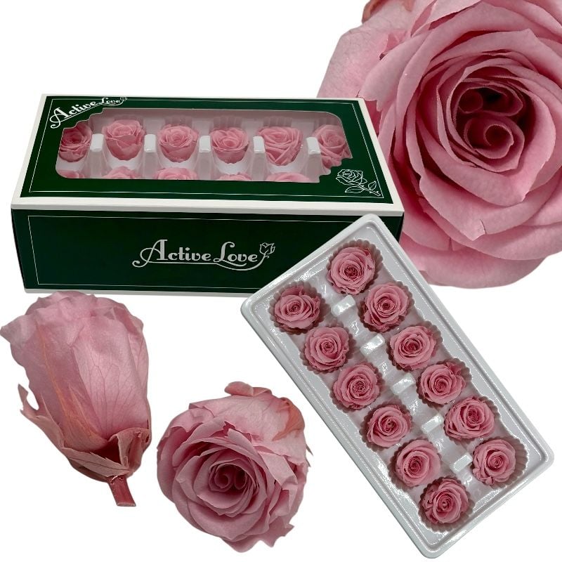 Trandafiri criogenați 12 bucăți d4-4 cm, h 5.5 cm, culoare roz pal, en-gros