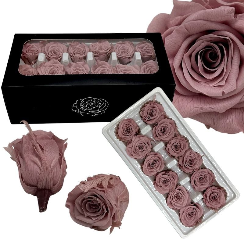 Trandafiri criogenați 12 bucăți d4-4 cm, h 5.5 cm, culoare roz prafuit, en-gros