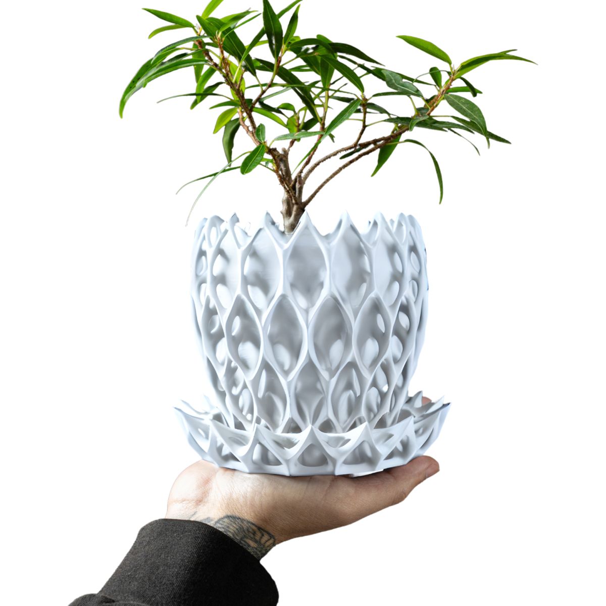 Ghiveci de flori 3d Lavarra ridicat 13.5 x 11.5 cm, Culoare Alb Engros