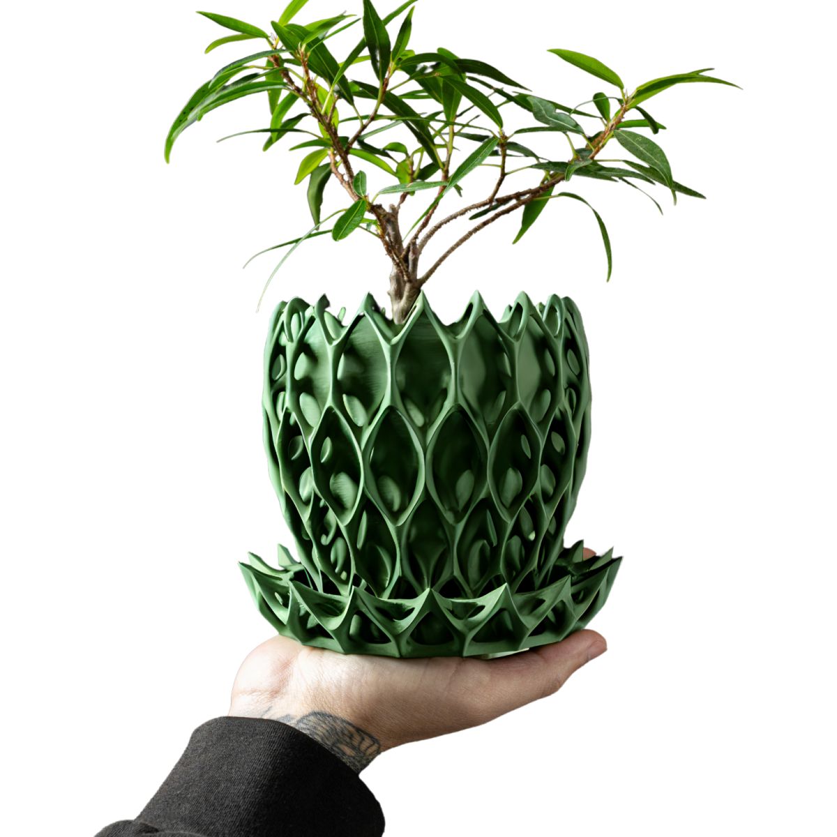 Ghiveci de flori 3d Lavarra ridicat 13.5 x 11.5 cm, Culoare Verde Engros
