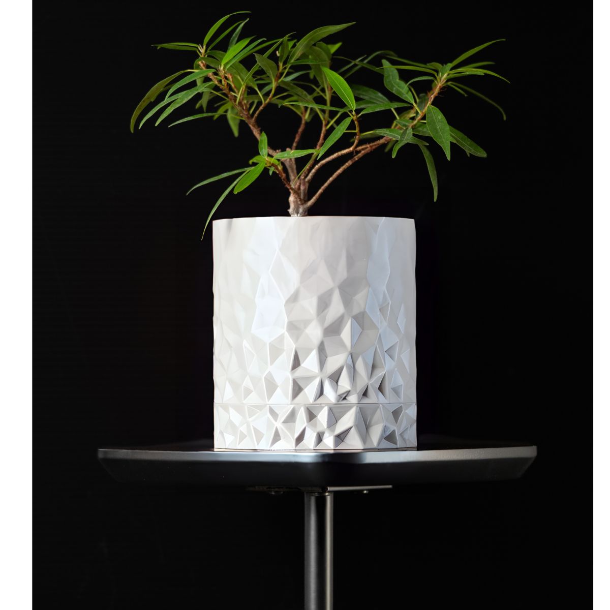 Ghiveci de flori 3d Diamond Premium rotund 12.5 x 14 cm, Culoare Alb Engros
