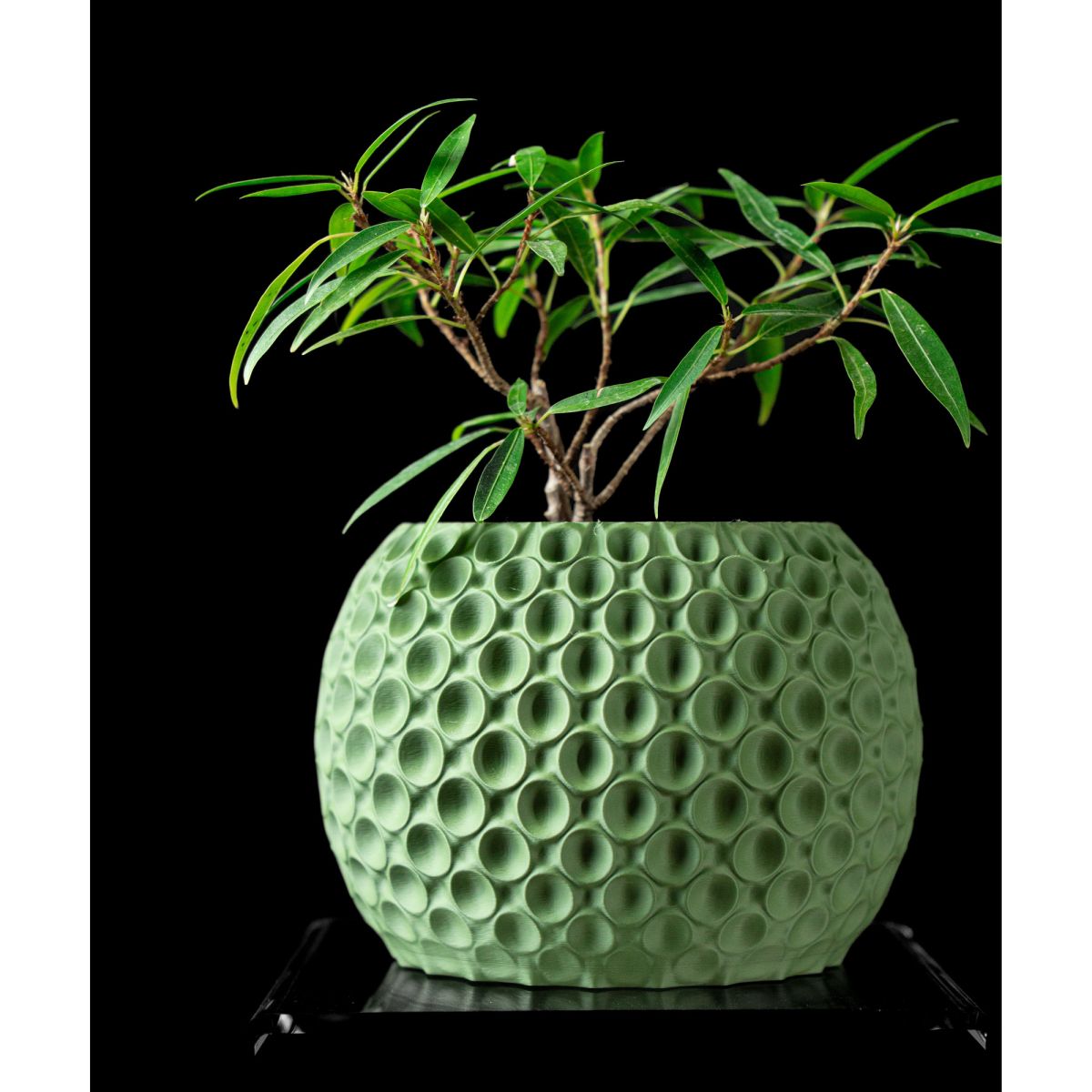 Ghiveci de flori 3d Sferra rotund 19.5 x 16.5 cm, Culoare Verde Engros