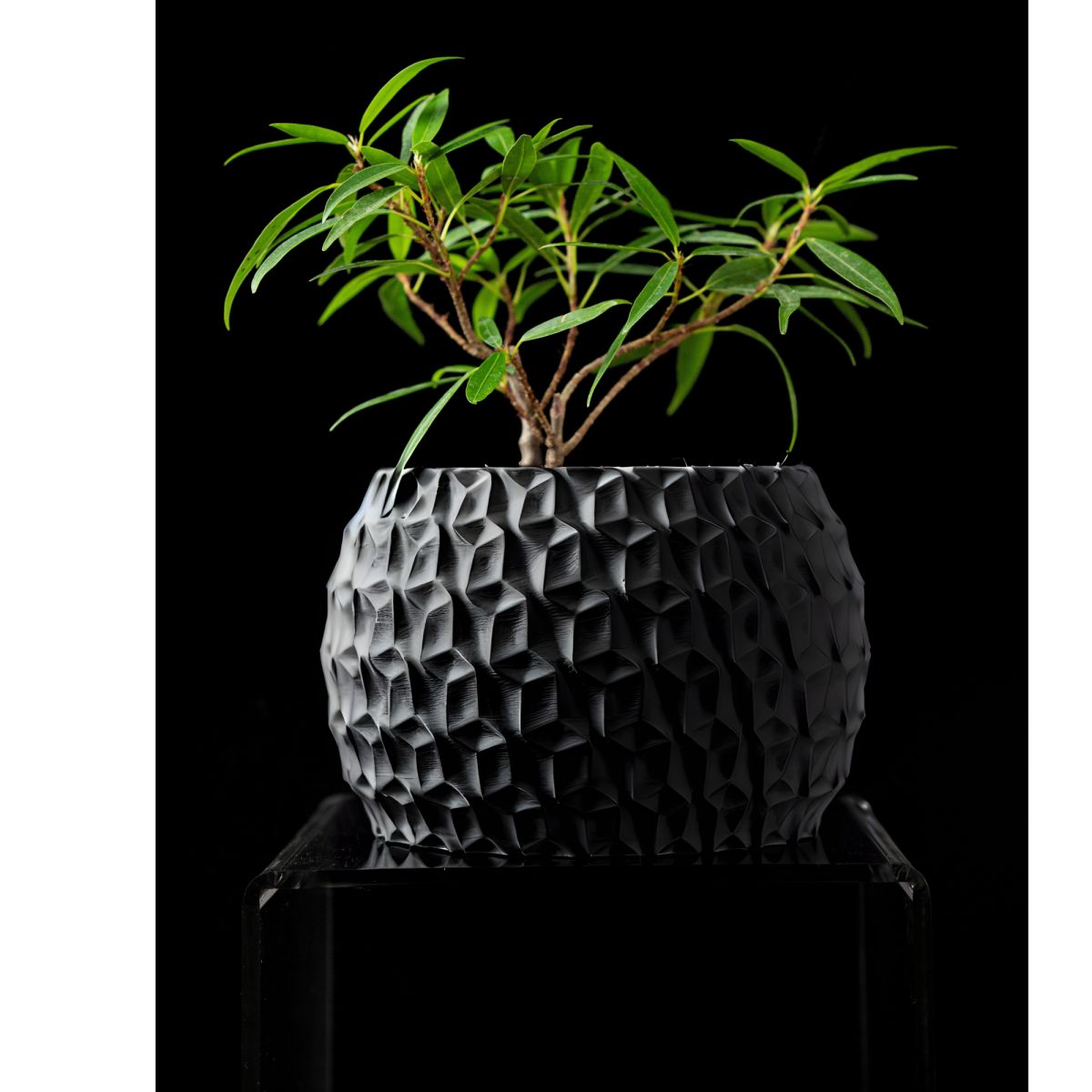 Ghiveci de flori 3d Antic Premium rotund 15 x 10.5 cm, Culoare Antracit Engros