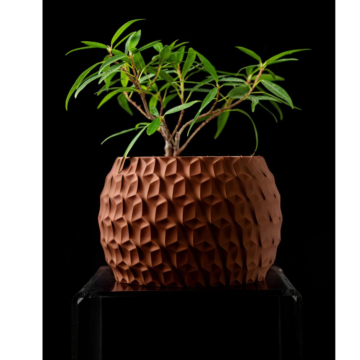 Ghiveci de flori 3d Antic Premium rotund 16 x 11 cm, Culoare Maro Engros