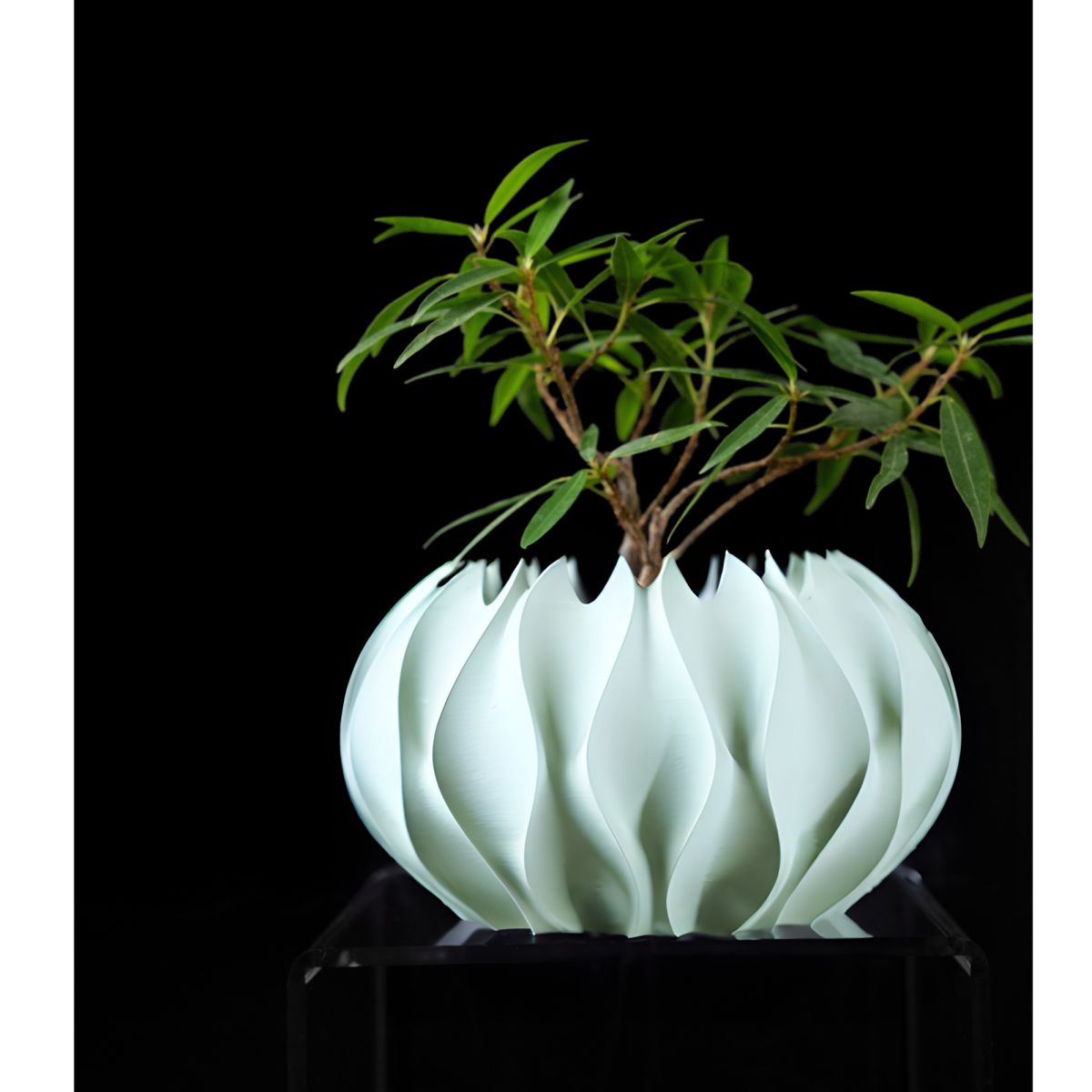 Ghiveci de flori 3d Roundflower Premium rotund 13 x 8 cm, Culoare Alb Engros