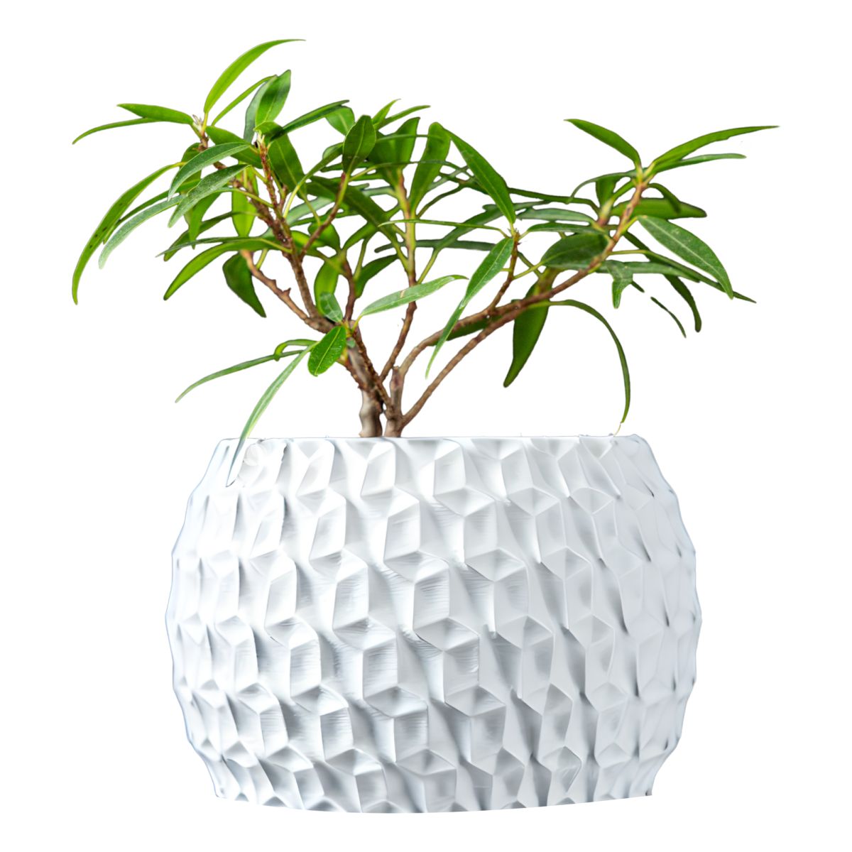 Ghiveci de flori 3d Antic Premium rotund 22 x 15.5 cm, Culoare Аlb Engros