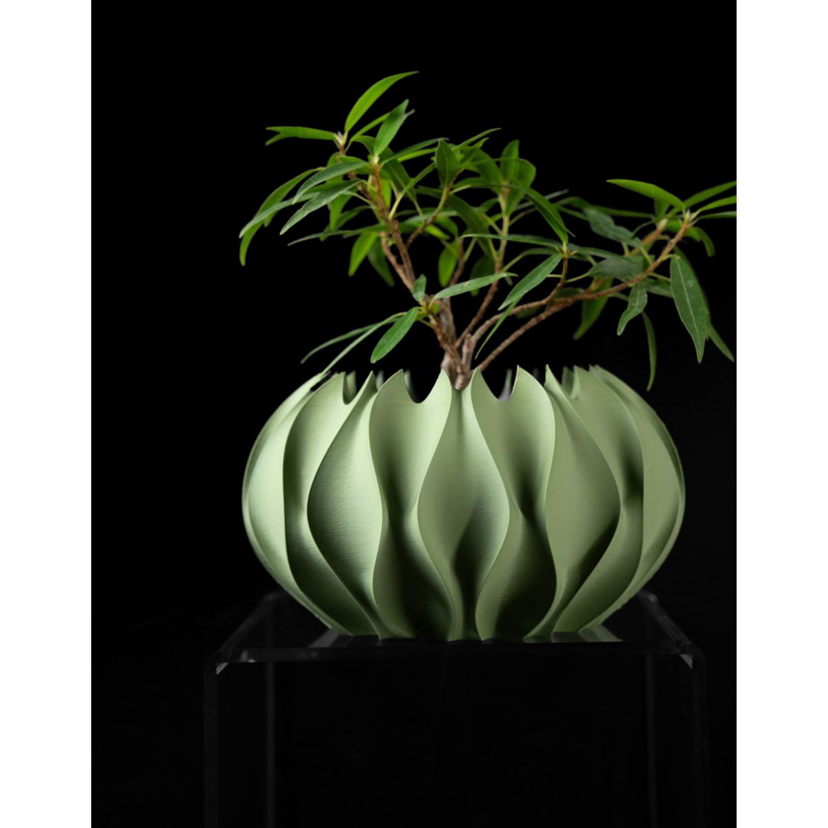 Ghiveci de flori 3d Roundflower Premium rotund 13 x 8 cm, Culoare Verde Engros