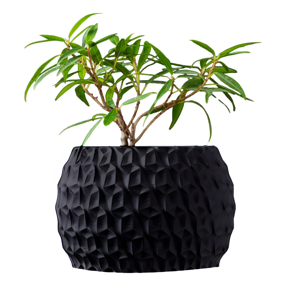 Ghiveci de flori 3d Antic Premium rotund 16 x 11 cm, Culoare Antracit Engros