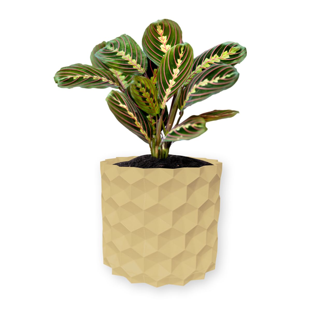 Ghiveci de flori 3d, Geonix , rotund 13 x 12 cm, Culoare Bej Engros