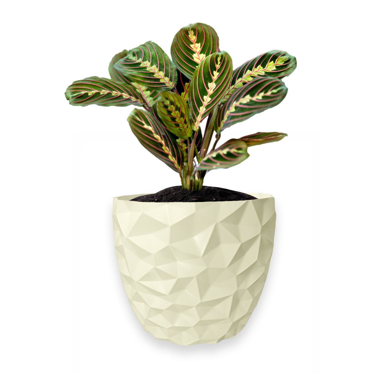 Ghiveci de flori 3d, Dunora , rotund 13 x 12 cm, Culoare Аlb Engros