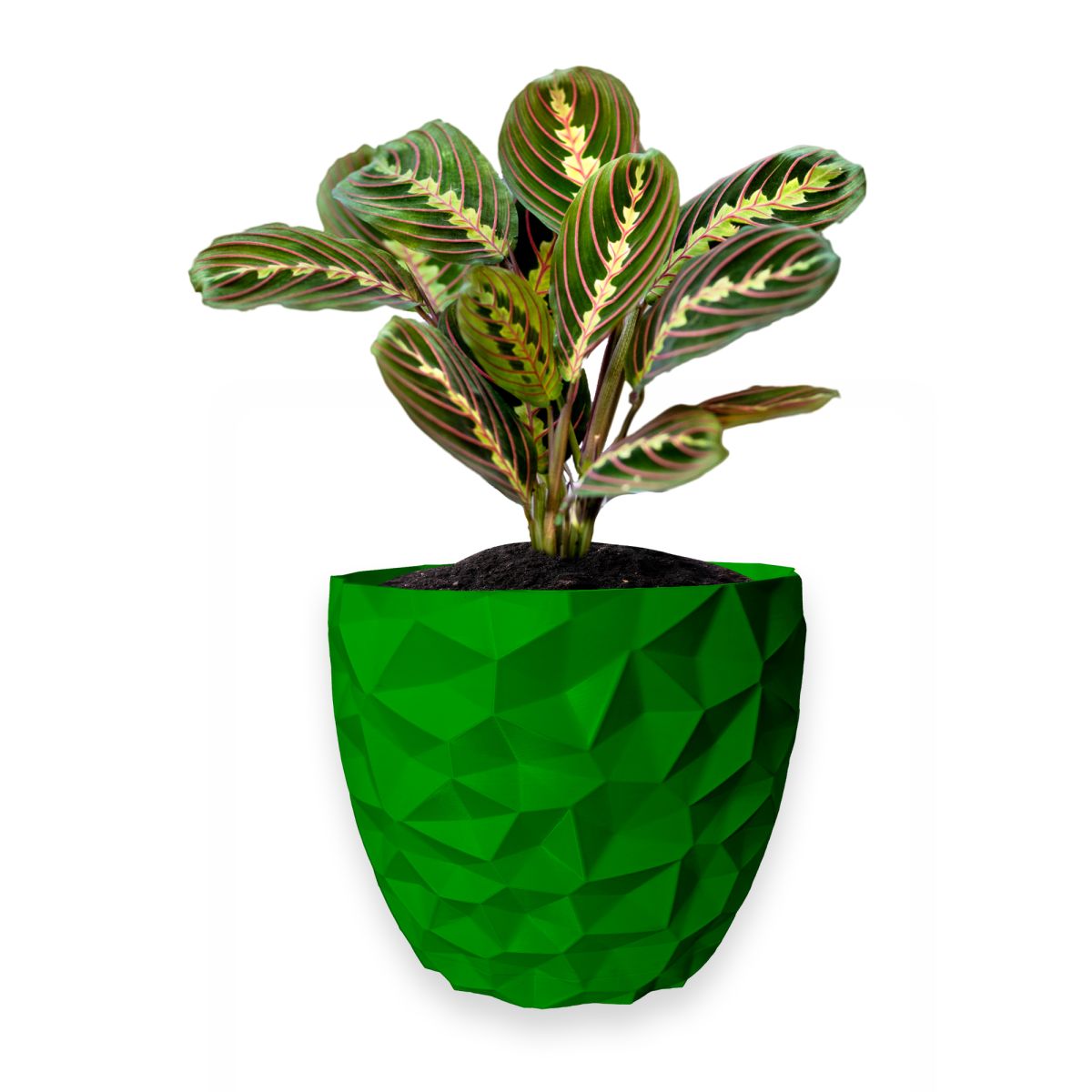 Ghiveci de flori 3d, Dunora , rotund 18 x 16.5 cm, Culoare Verde Engros