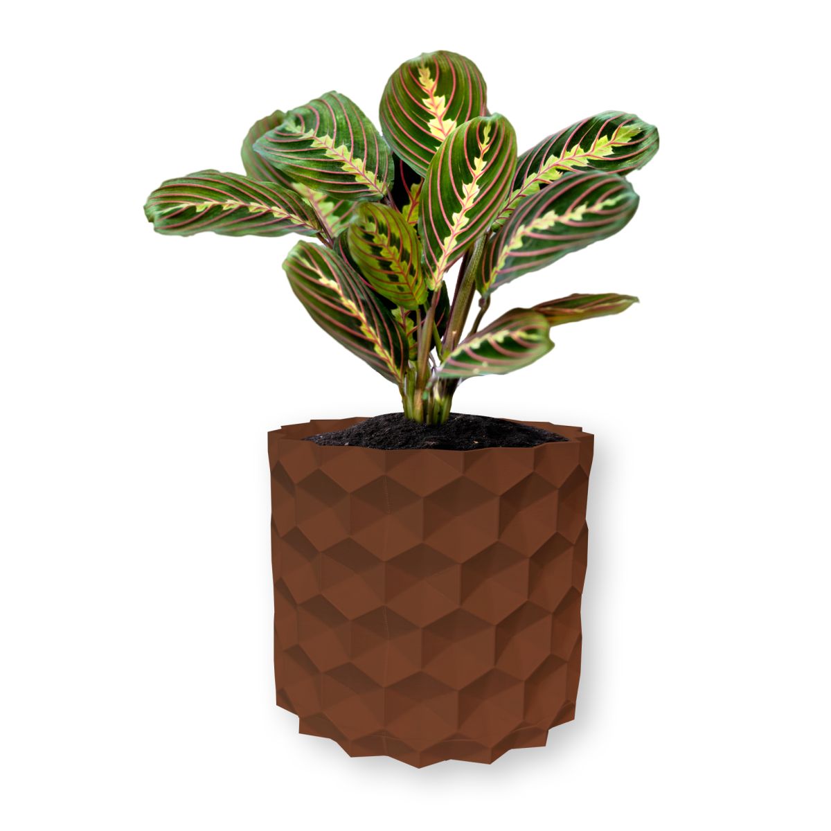 Ghiveci de flori 3d, Geonix , rotund 14.5 x 13.5 cm, Culoare Maro Engros