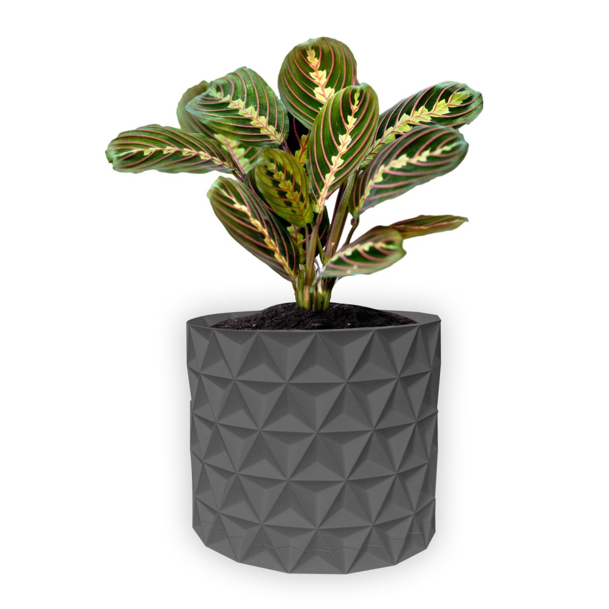 Ghiveci de flori 3d, Trigrix , rotund 15.5 x 14.5 cm, Culoare Gri Engros