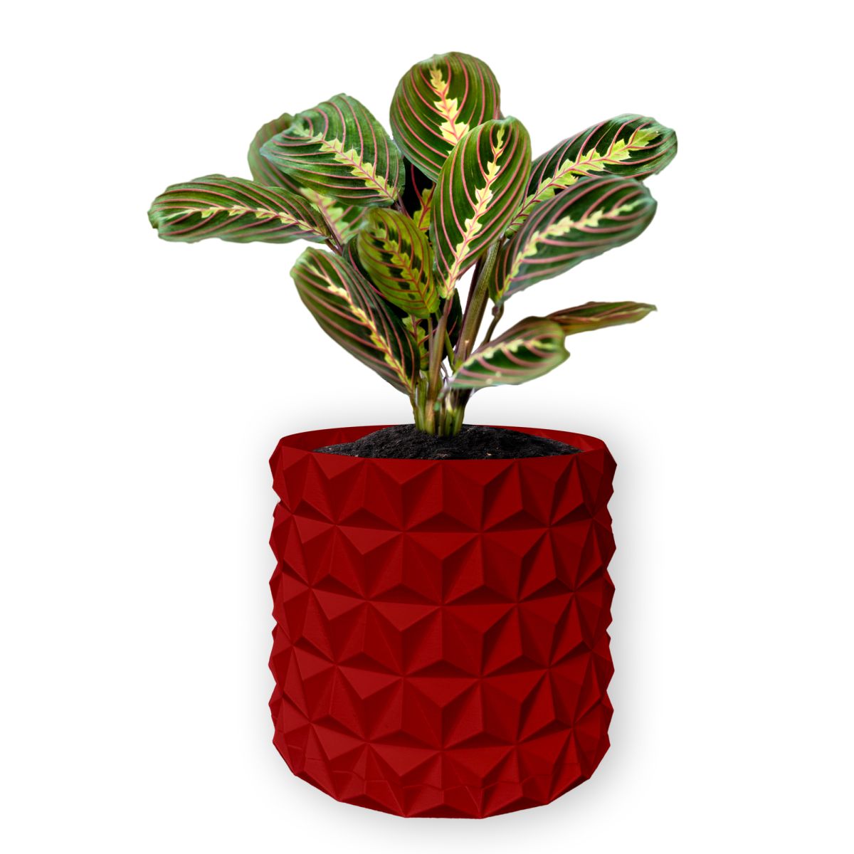 Ghiveci de flori 3d, Krystar , rotund 12 x 11 cm, Culoare Rosu Engros