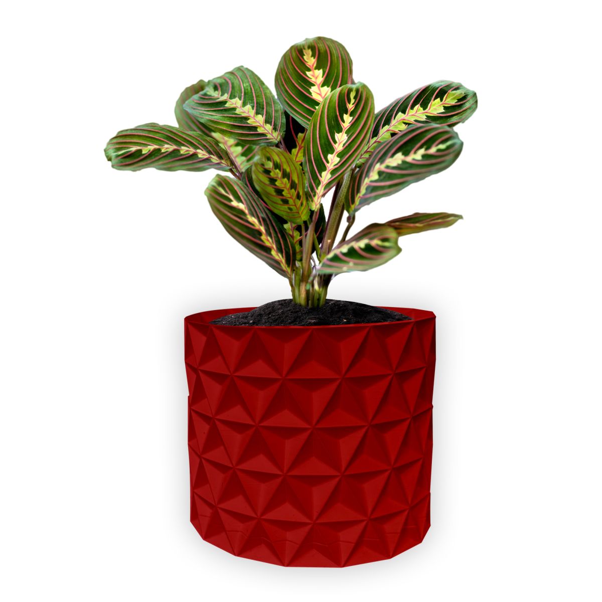 Ghiveci de flori 3d, Trigrix , rotund 16.5 x 15.5 cm, Culoare Rosu Engros
