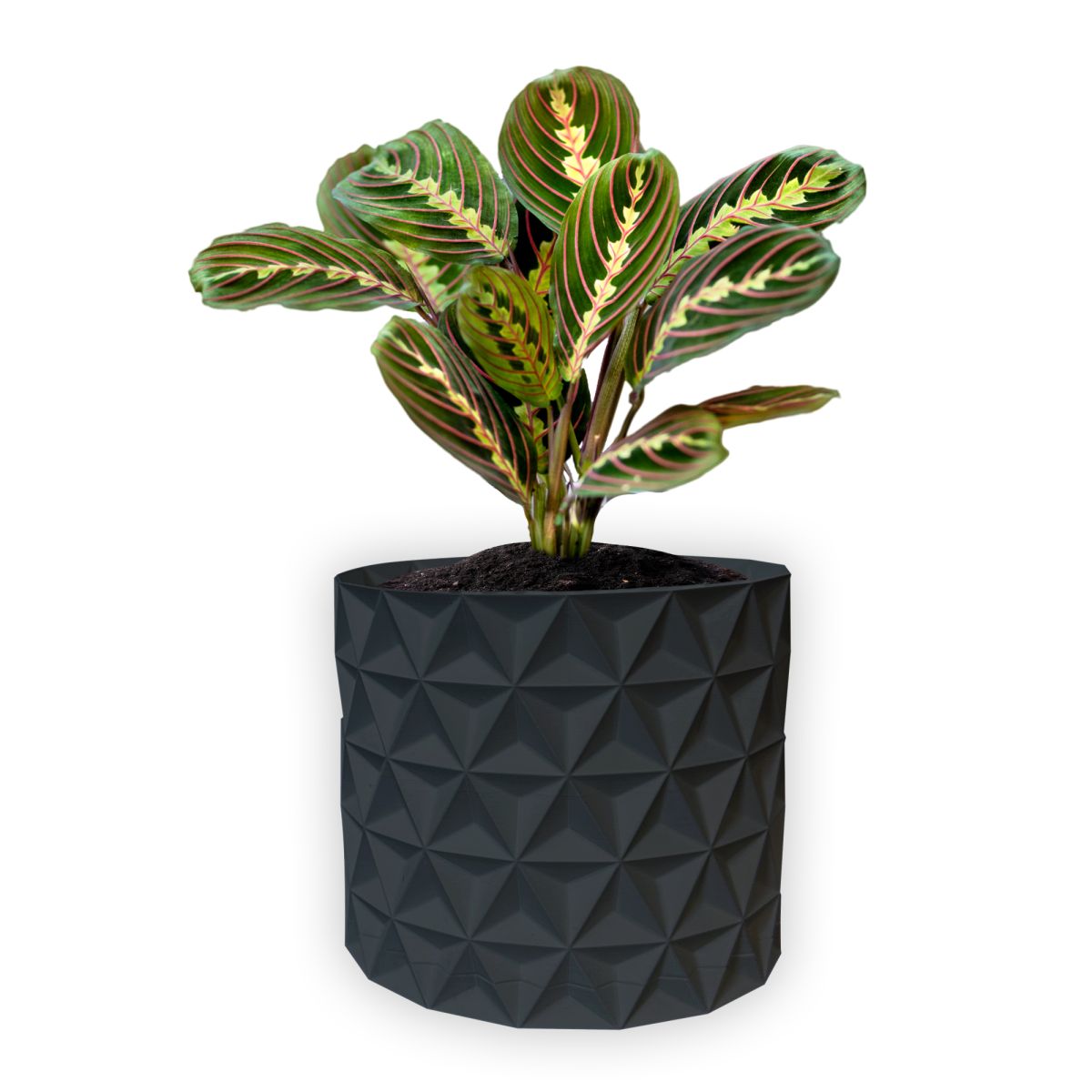 Ghiveci de flori 3d, Trigrix , rotund 18 x 16.5 cm, Culoare Antracit Engros