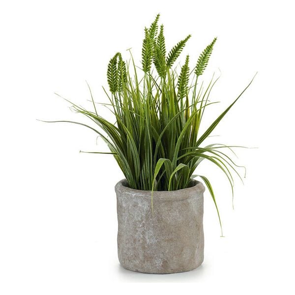 Plantă decorativă Plastic Въже (12 x 30 x 12 cm)