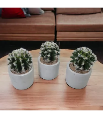 Decoratiune artificiala in ghiveci de ceramica Cactus engros 6/ buc  pe set 13 cm