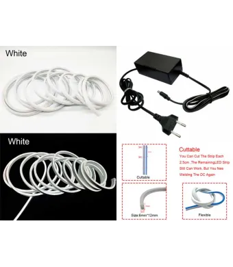 Neon decor auto 5m 12V/220V alb ENGROSS