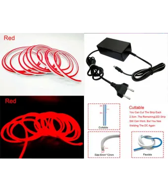 Neon decor auto 5m 12V/220V rosu ENGROSS