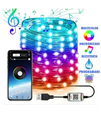 Instalatie de Craciun RGB cu Control prin Aplicatie Engros